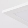 SORDOS Ceiling Light LED white, 1-light source, Motion sensor
