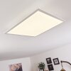 SORDOS Ceiling Light LED white, 1-light source, Motion sensor