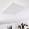 SORDOS Ceiling Light LED white, 1-light source, Motion sensor