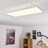 SORDOS Ceiling Light LED white, 1-light source, Motion sensor