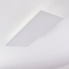 SORDOS Ceiling Light LED white, 1-light source, Motion sensor