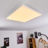 BUENAVENTURA Ceiling Light LED white, 1-light source, Remote control