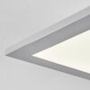 FARC Ceiling Light LED silver, 1-light source, Remote control