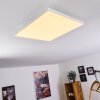 COR Ceiling Light LED white, 1-light source, Remote control