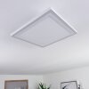 SALAMO Ceiling Light LED white, 2-light sources