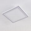 SALAMO Ceiling Light LED white, 2-light sources