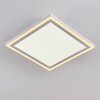 SALAMO Ceiling Light LED white, 2-light sources