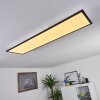 NEXO Ceiling Light LED black, 1-light source, Remote control