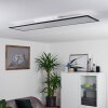 NEXO Ceiling Light LED black, 1-light source, Remote control