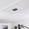 TURBALÁ Ceiling Light LED white, 2-light sources, Remote control, Colour changer