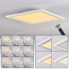 SALAMO Ceiling Light LED white, 2-light sources, Remote control