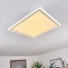 SALAMO Ceiling Light LED white, 2-light sources, Remote control