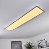 NEXO Ceiling Light LED white, 1-light source