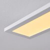 NEXO Ceiling Light LED white, 1-light source, Remote control