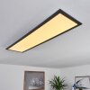 NEXO Ceiling Light LED black, 1-light source, Remote control