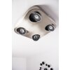 Granada ceiling light LED matt nickel, 4-light sources