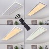 SALAMO Ceiling Light LED white, 2-light sources, Remote control