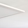 NEXO Ceiling Light LED white, 1-light source, Remote control