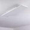BUENAVENTURA Ceiling Light LED white, 1-light source, Remote control