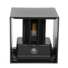 Steinhauer LOGAN Outdoor Wall Light LED black, 1-light source