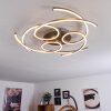 COJCAM Ceiling Light LED matt nickel, 3-light sources