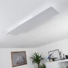 SORDOS Ceiling Light LED white, 1-light source, Motion sensor