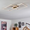 CHEKA Ceiling Light LED matt nickel, 2-light sources, Remote control