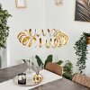 MAZIWA Pendant Light LED gold, 1-light source