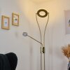 TIERZ Floor Lamp LED brass, 2-light sources