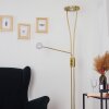 TIERZ Floor Lamp LED brass, 2-light sources