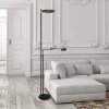Steinhauer Turound Floor Lamp LED black, 2-light sources