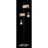 Globo LUDI Floor Lamp black, 2-light sources