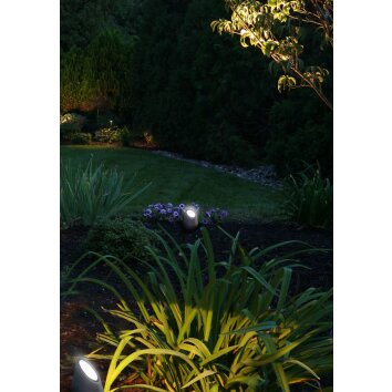 Mantra TAOS Table lamp grey, 1-light source