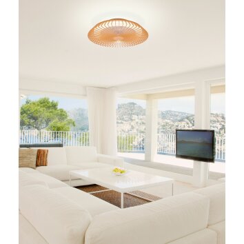 Mantra HIMALAYA ceiling fan LED Light wood, 1-light source, Remote control