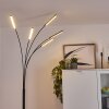 Totara Floor Lamp LED black, 5-light sources