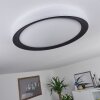 Gladstone Ceiling Light LED black, white, 1-light source, Remote control