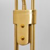 Mairoa Floor Lamp LED brass, 2-light sources