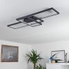 Momahaki Ceiling Light LED anthracite, 1-light source, Remote control