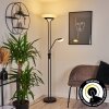 Mairoa Floor Lamp LED black, 2-light sources