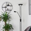 Mairoa Floor Lamp LED black, 2-light sources