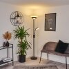 Mairoa Floor Lamp LED black, 2-light sources