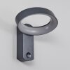 Carinola Outdoor Wall Light LED anthracite, 1-light source, Motion sensor