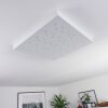 Cetara Ceiling Light LED grey, 1-light source
