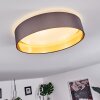 Elsa Ceiling Light LED white, 1-light source