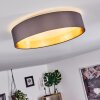 Elsa Ceiling Light LED white, 1-light source