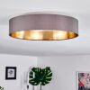 Elsa Ceiling Light LED white, 1-light source