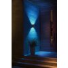 Philips Hue White & Color Ambiance Resonate Wall Light LED black, 2-light sources