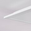 Badia Ceiling Light LED white, 2-light sources