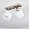 Alsen Ceiling Light matt nickel, 2-light sources