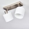 Alsen Ceiling Light matt nickel, 2-light sources